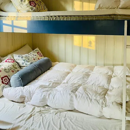 Forest By The Sea Near Fredrikstad Feriehus *